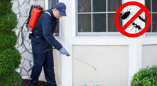 Evka 3 Kene İlaçlama böcek ilaçlama ve haşere kontrolü — ilaclama-tr.com